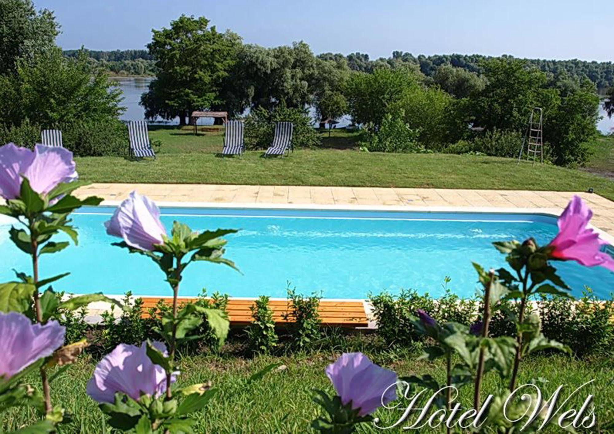 Hotel Wels Băltenii de Sus Екстериор снимка